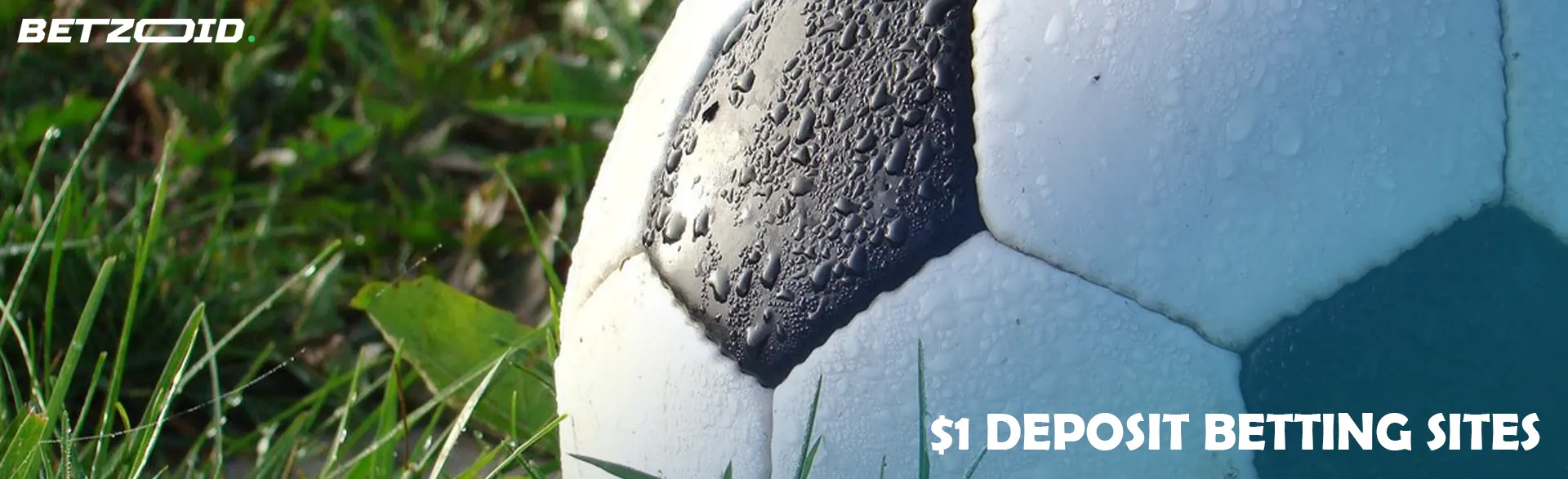 Soccer ball on the grass.