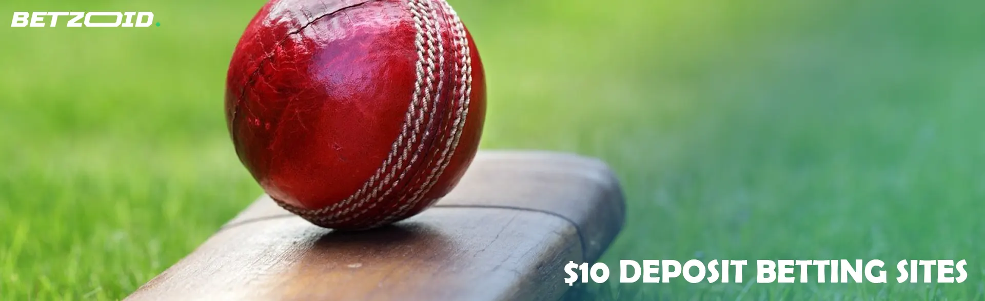 Cricket ball on the bat.