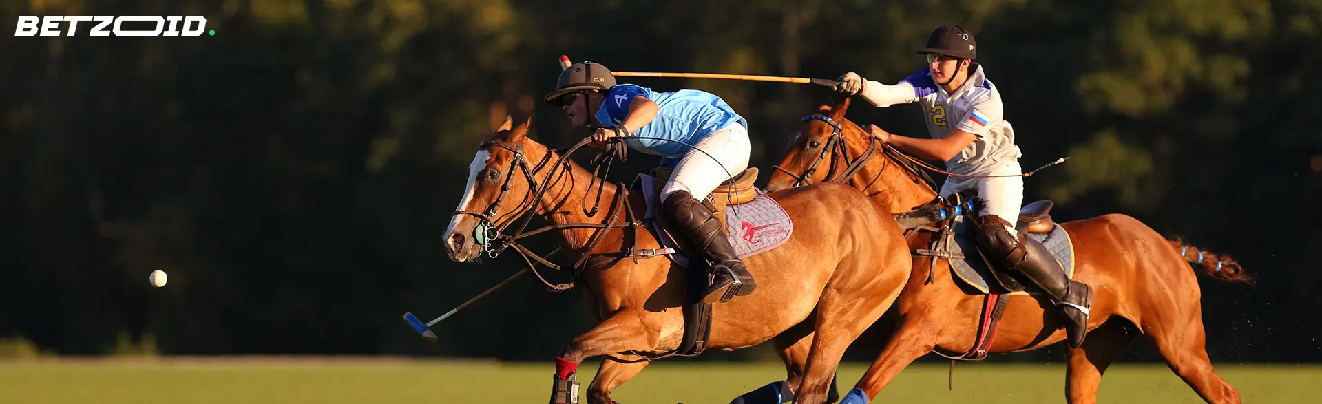 Polo players during a game.