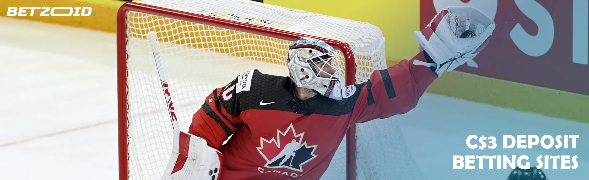 A hockey player catches the puck in the goal during a match.