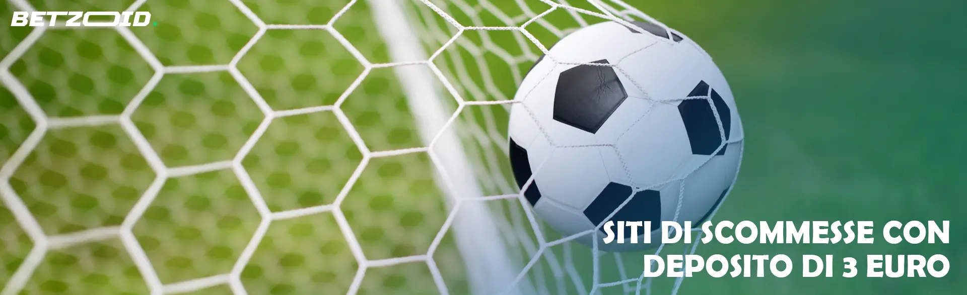 Pallone da calcio in porta su un campo verde.