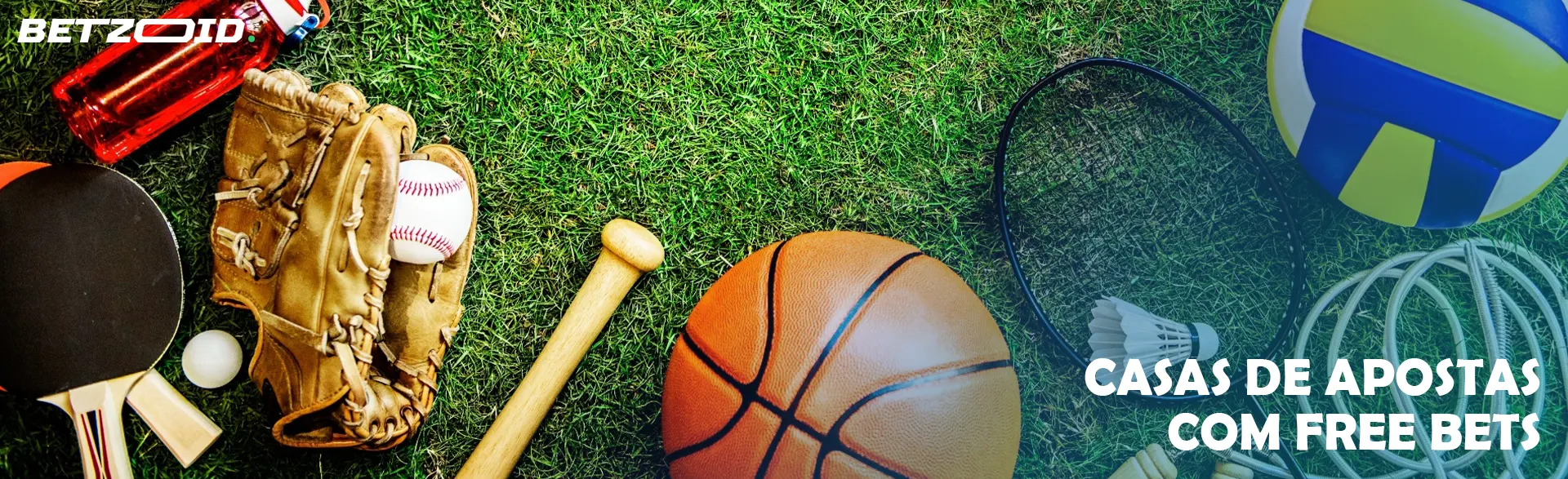 Uma variedade de equipamentos esportivos.