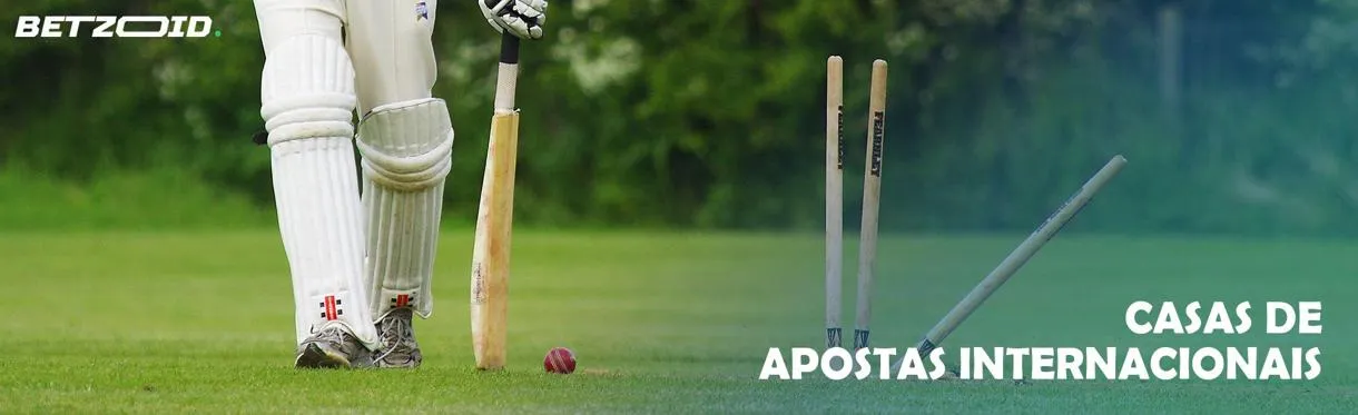 Jogador de críquete em campo verde.