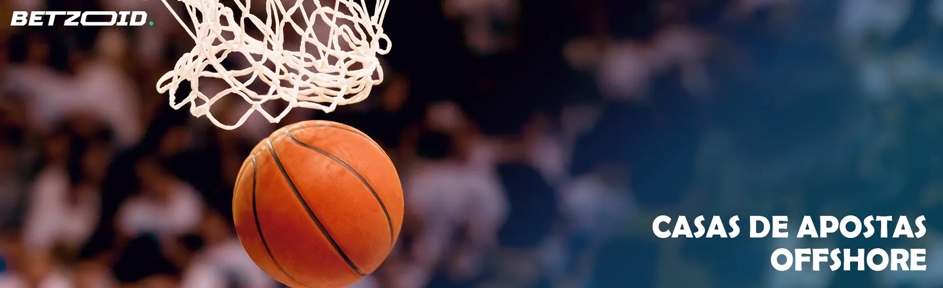 A bola de basquete voou para a rede.