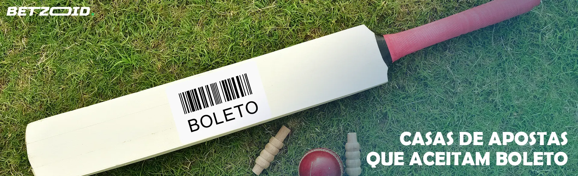 Taco e bola de críquete.