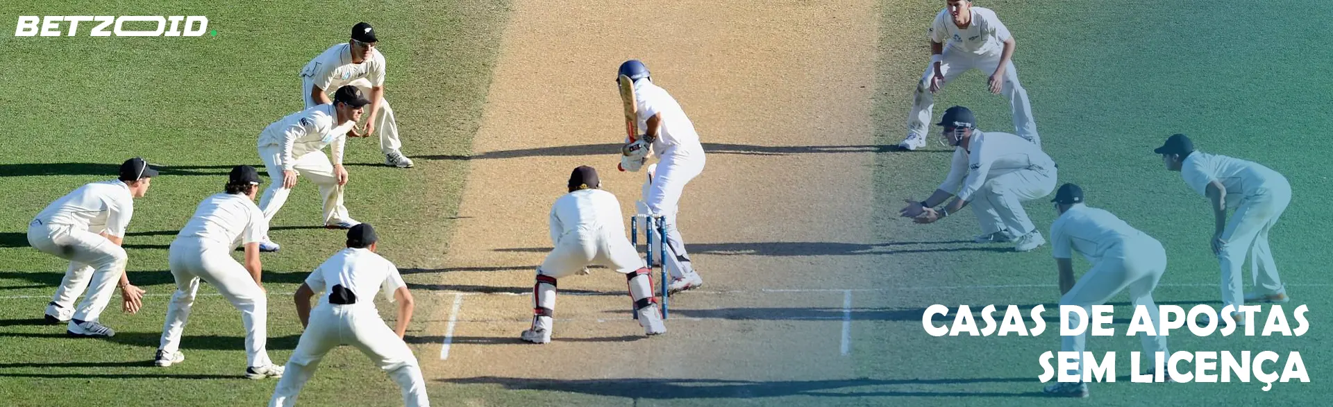 Jogadores de críquete em campo durante um jogo.