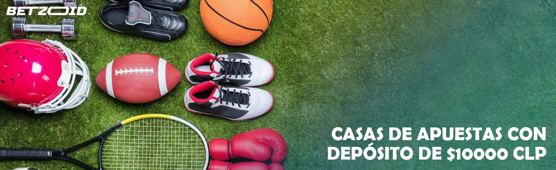 En el césped hay varios equipos deportivos.