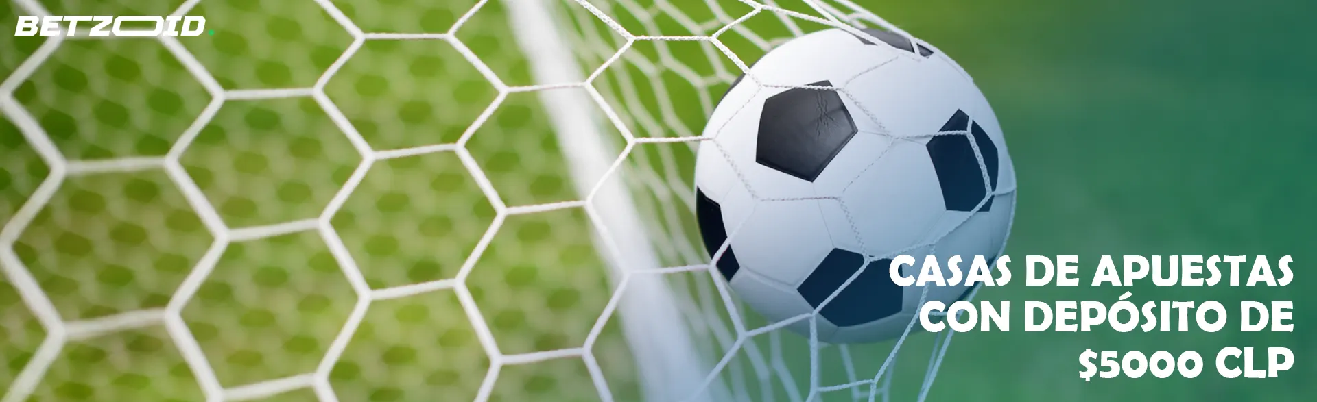 Balón de fútbol en la portería.