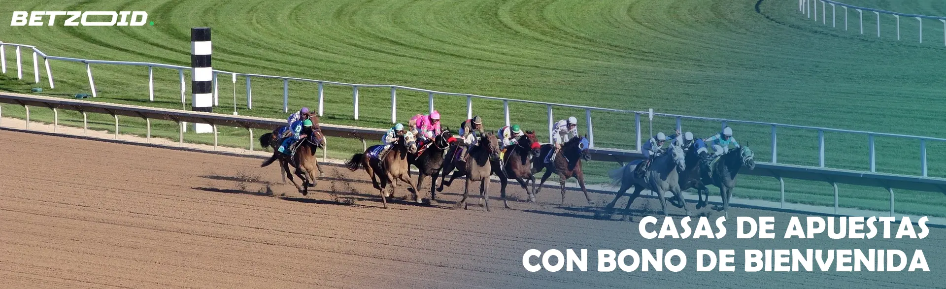 Carreras de caballos en el hipódromo.