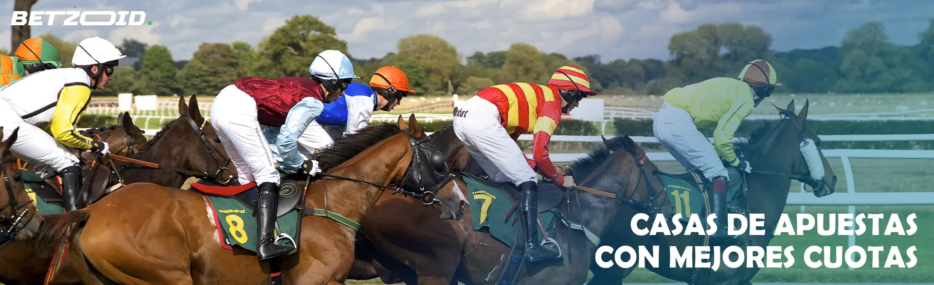 Jinetes a caballo durante una carrera.