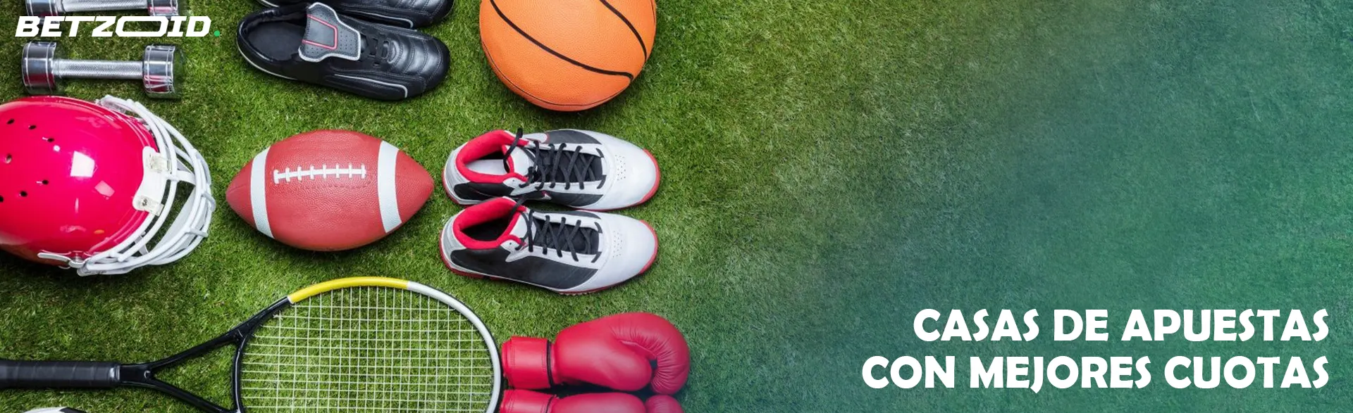 En el césped se encuentran diversos equipamientos deportivos.