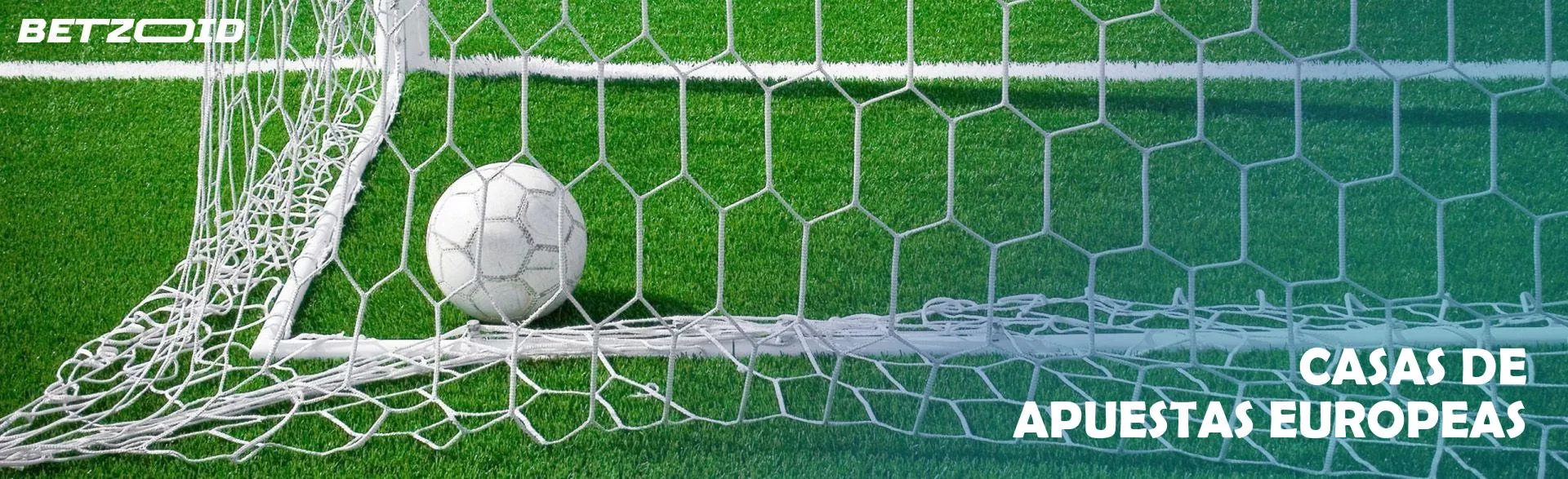 El balón de fútbol se encuentra en la portería.