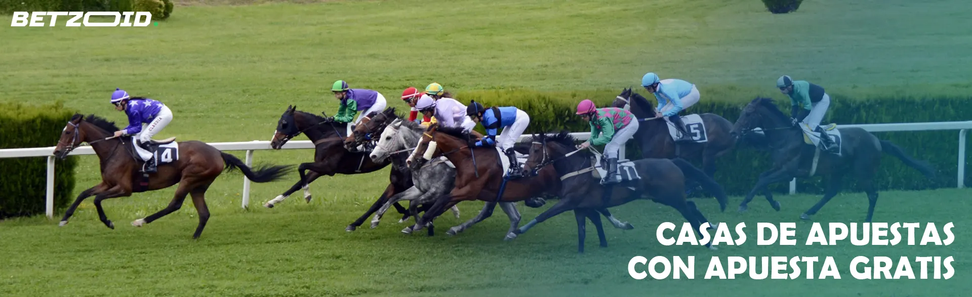 Jinetes a caballo durante la carrera.