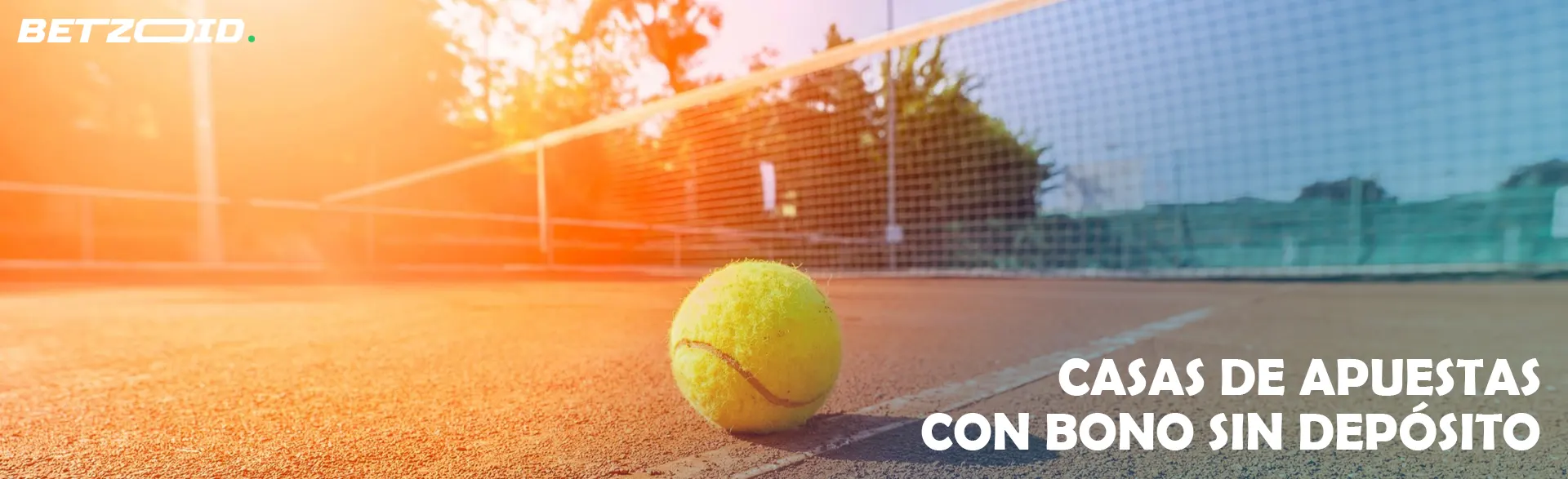La pelota de tenis yace en la cancha.