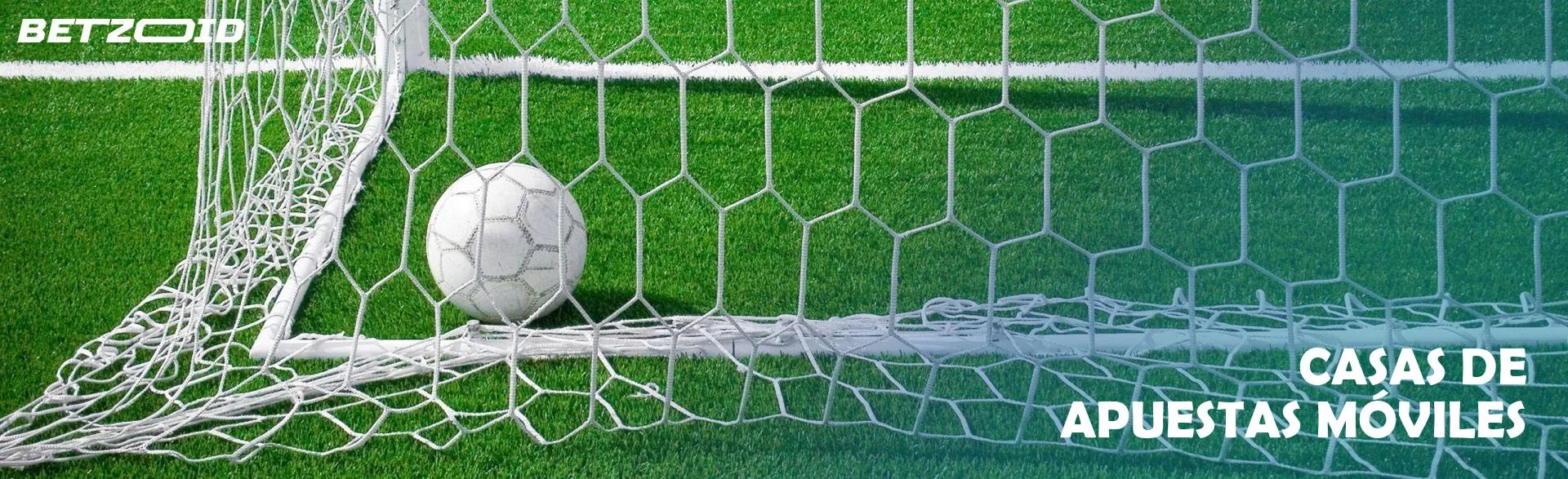 Balón de fútbol en la portería.