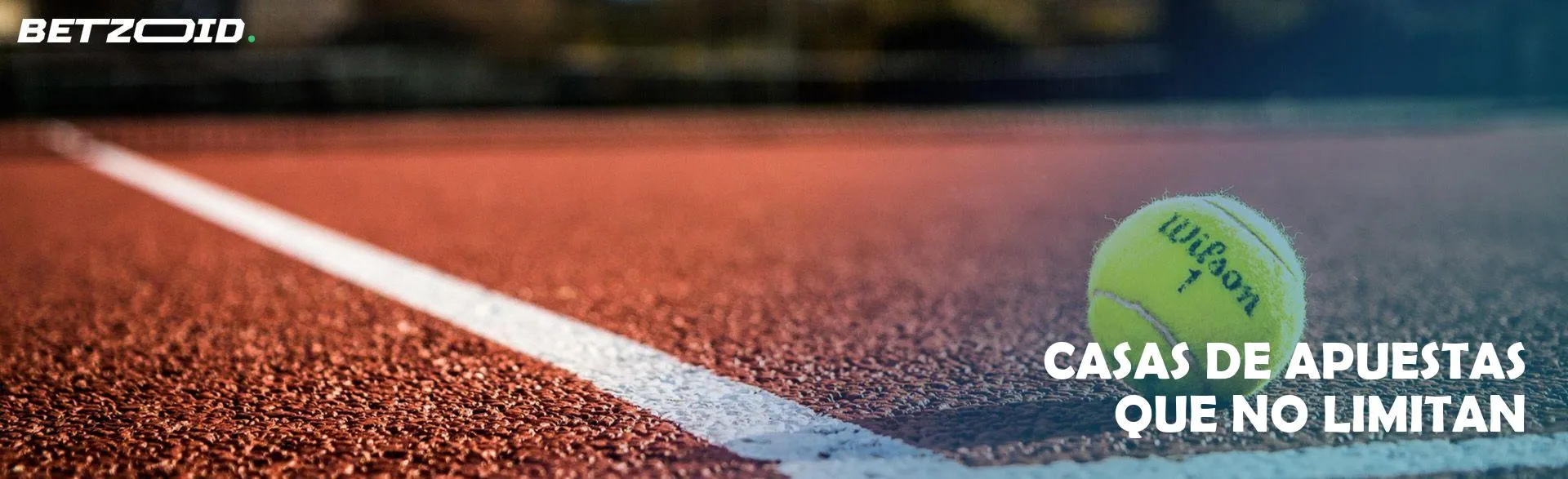 Una pelota de tenis se encuentra en la cancha.