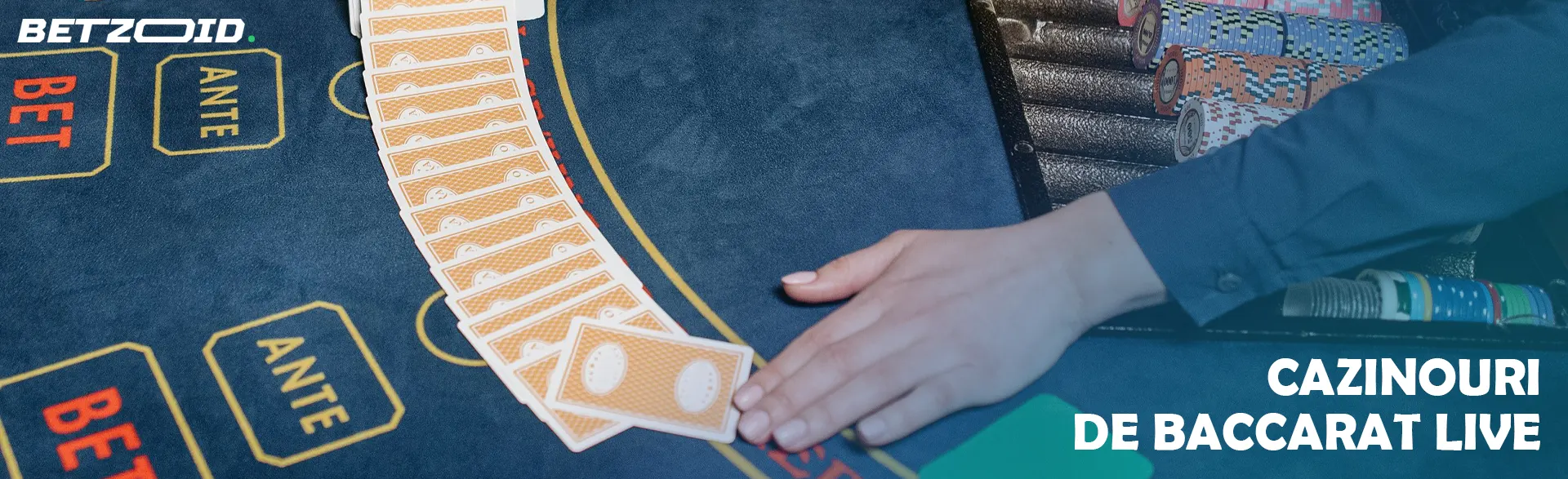 Jucătorul a așezat un pachet de cărți pe masa cazinoului.