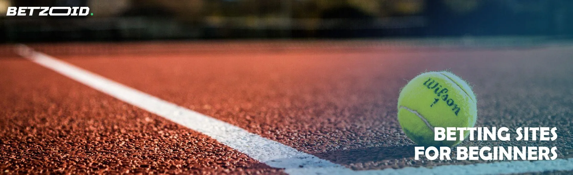 Tennis ball on the court.