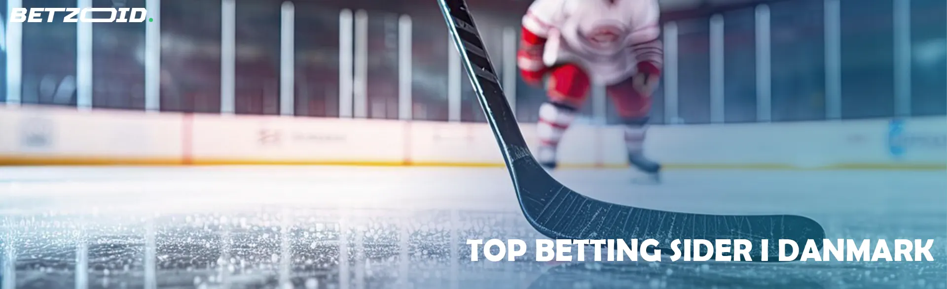 Danske Betting Sider