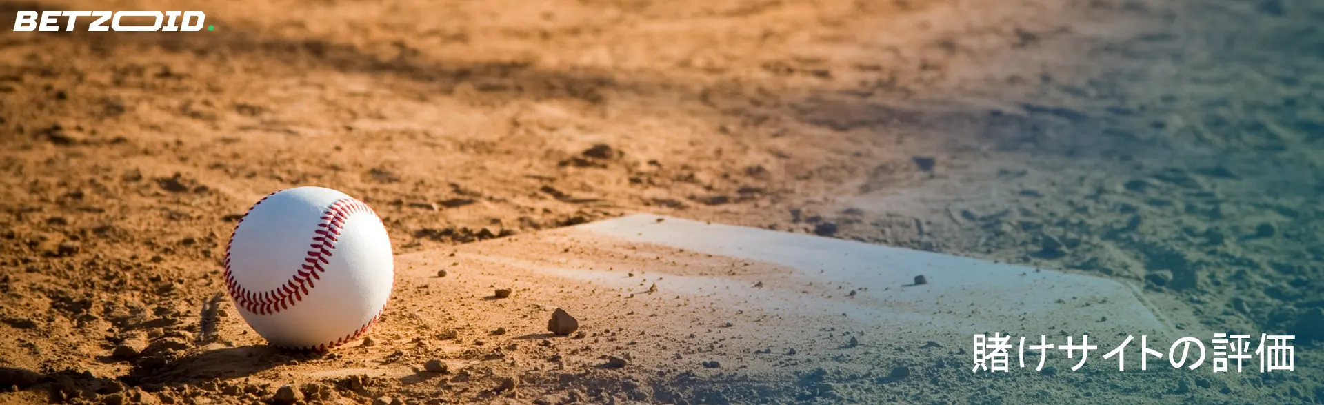 賭けサイトの評価.