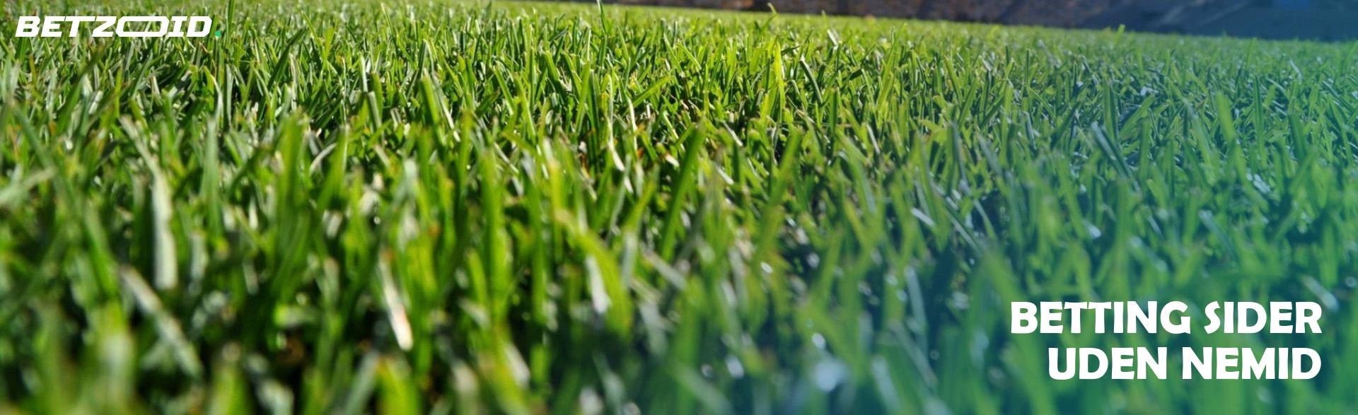 Betting Sider Uden Nemid.