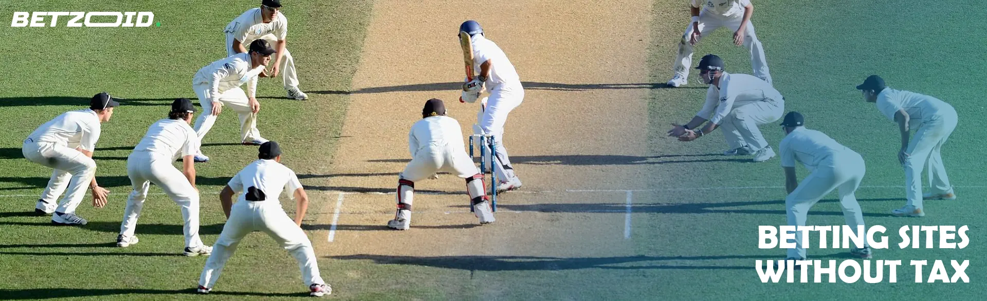 Cricketers in action during the game.