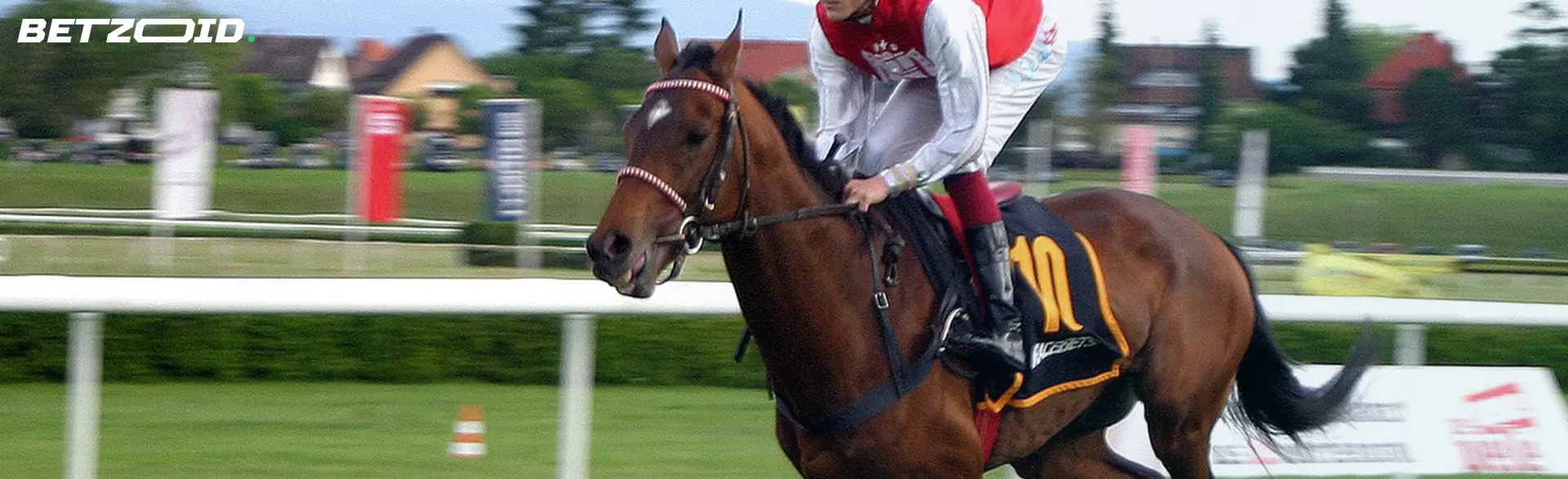 A jockey riding a racehorse during a race on a grassy track.