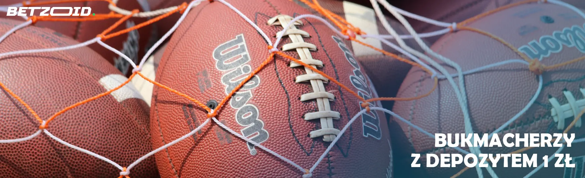 Piłki do futbolu amerykańskiego leżą w siatce.