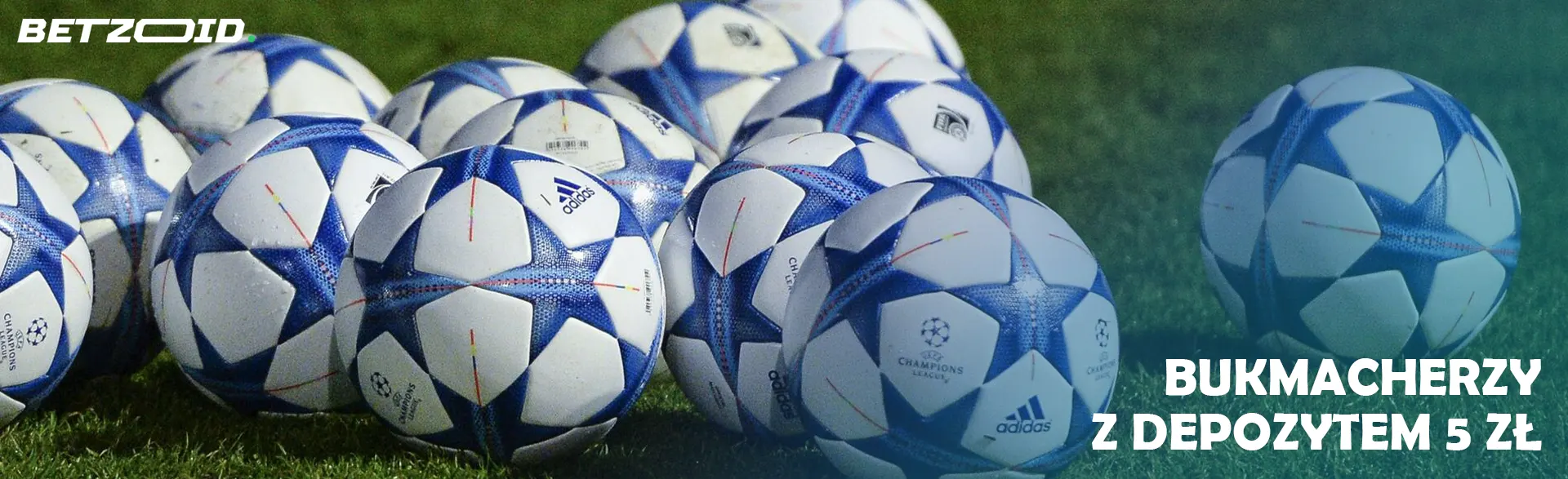 Kilka piłek nożnej na zielonej trawie.