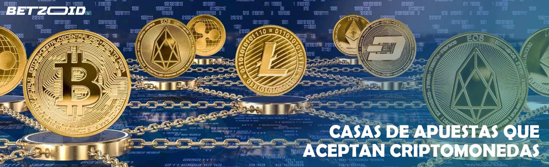 Varias criptomonedas como Bitcoin, Litecoin, Ethereum y algunas otras.