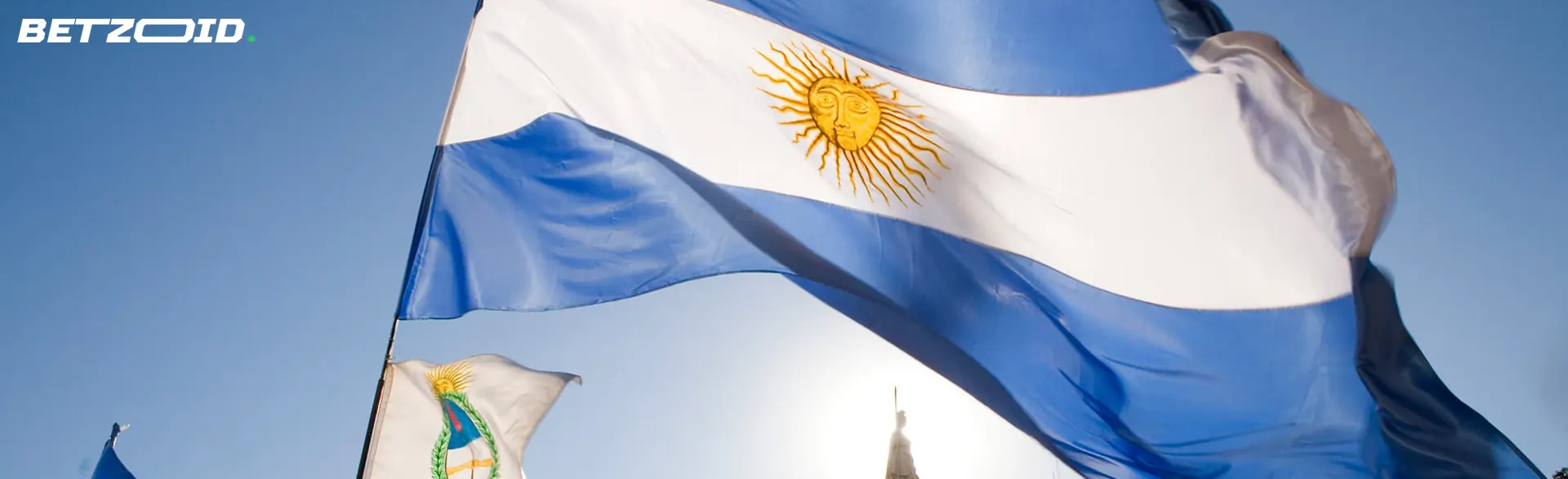 La bandera de Argentina contra el fondo del cielo.