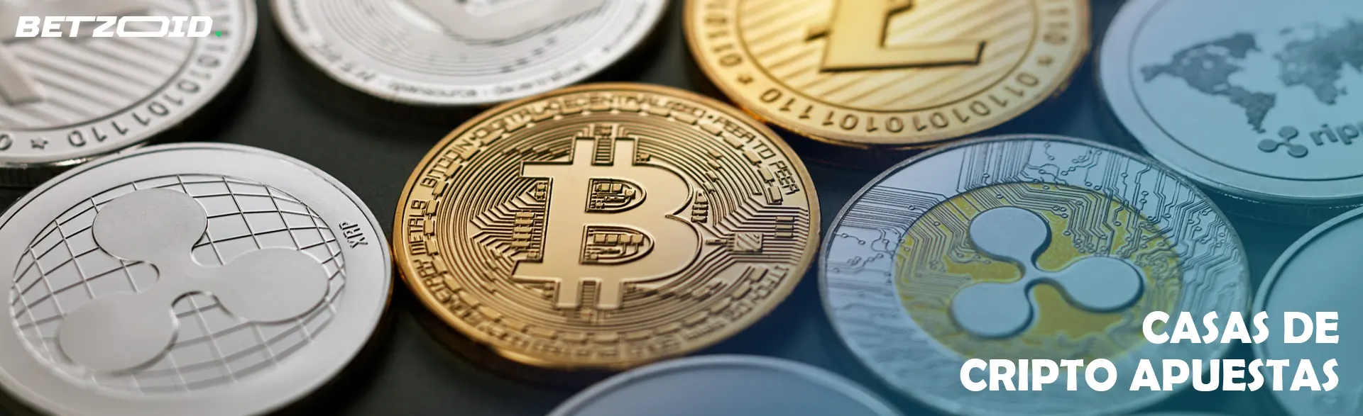 Monedas de diferentes criptomonedas.