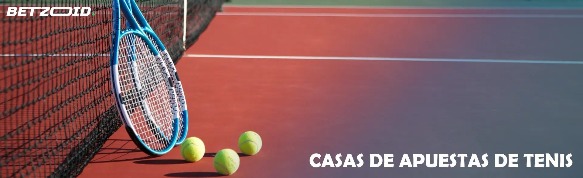 Raquetas de tenis y pelotas junto a la red en una cancha.