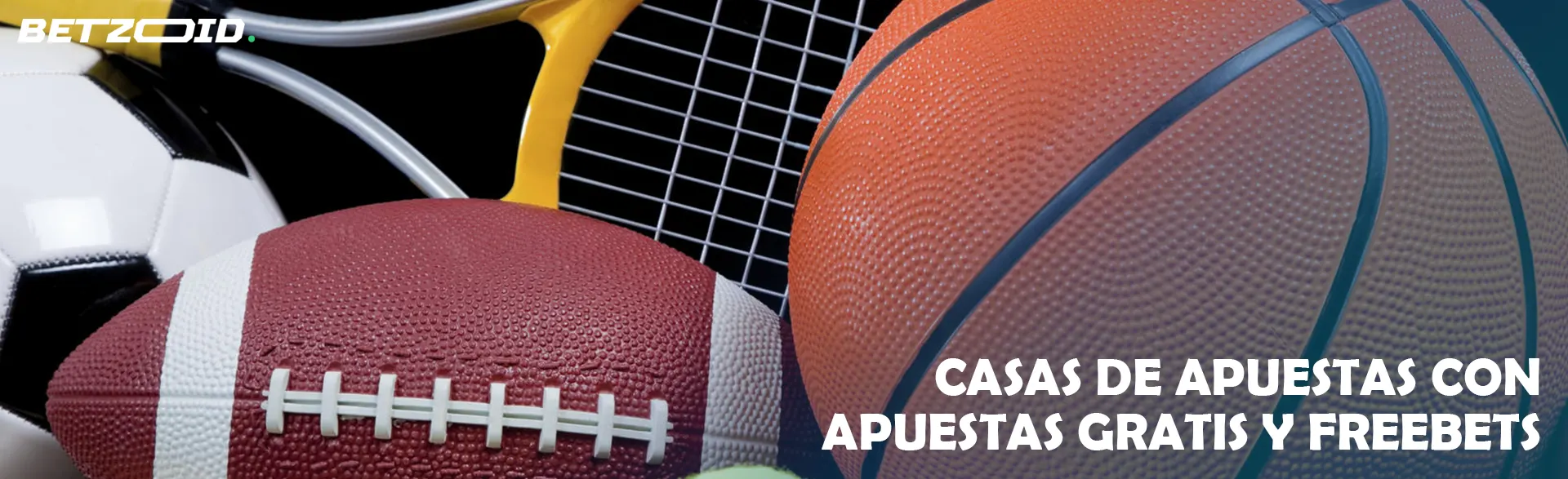 Balones de diferentes deportes y raqueta.