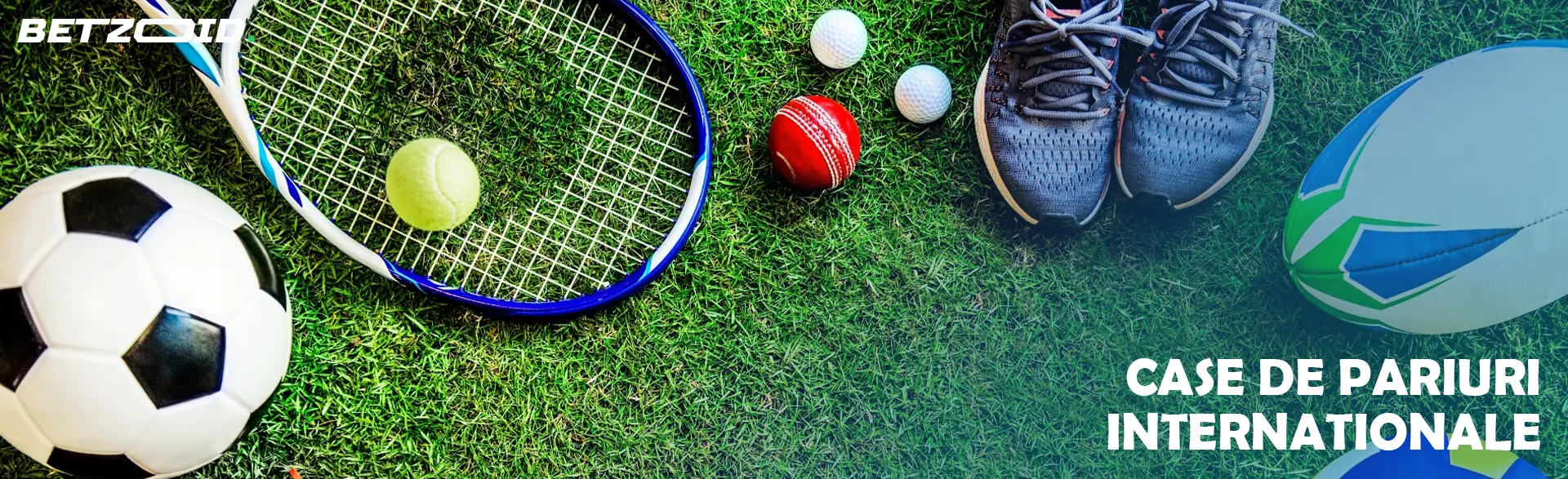 Diferite echipamente sportive sunt întinse pe iarbă.