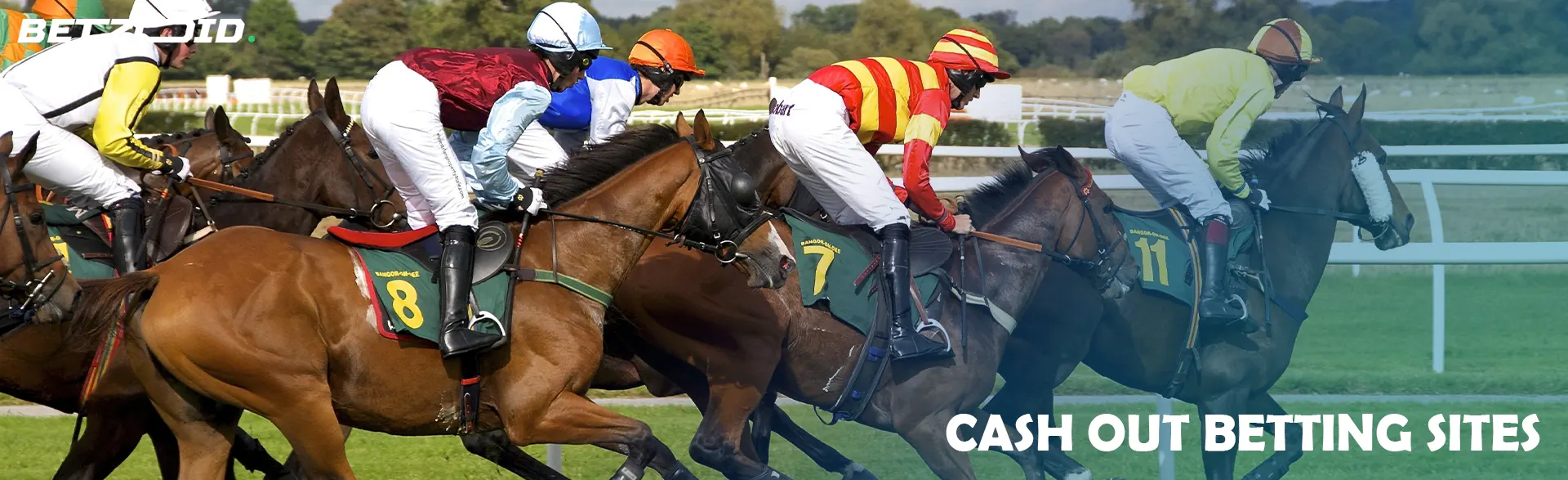 Riders on horses compete during a horse race.