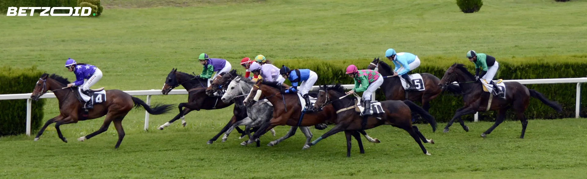 Jinetes a caballo durante una carrera.
