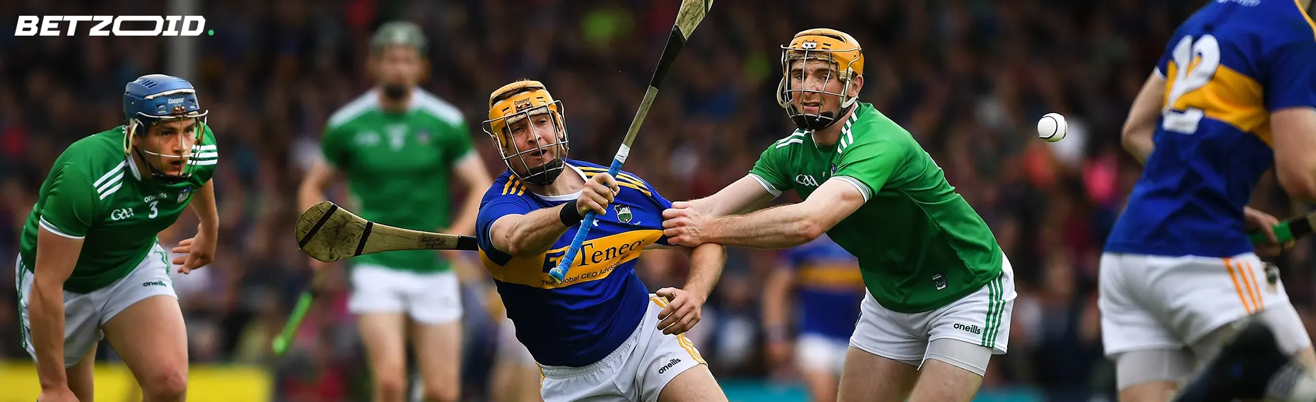 Players in action during a game of gurling.