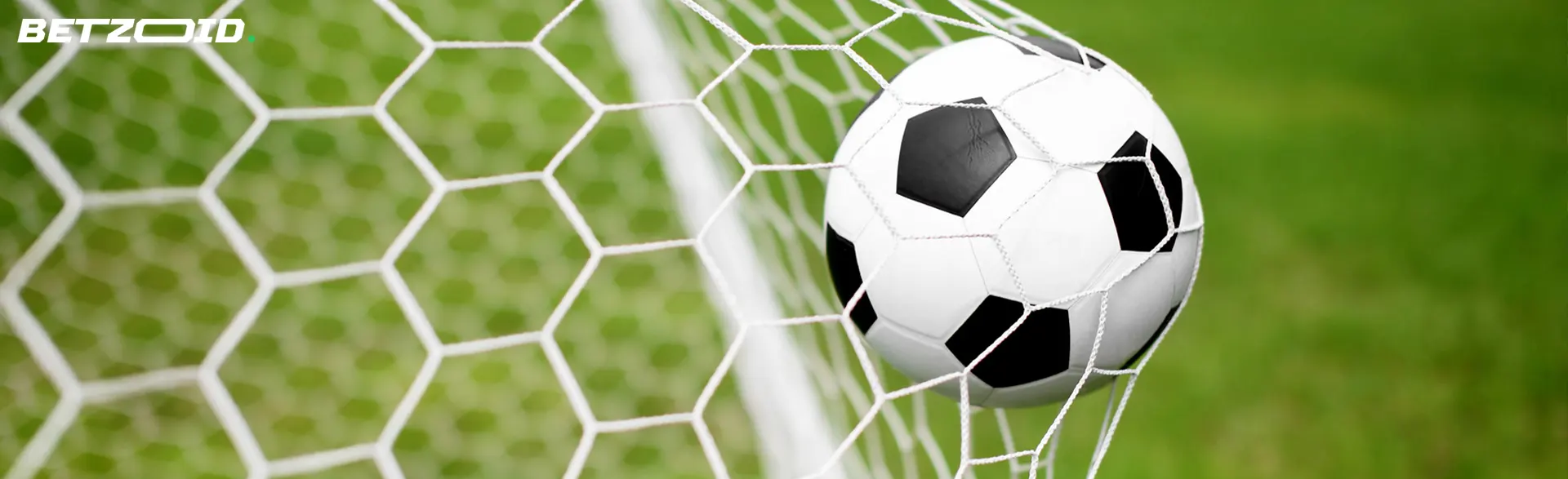 The soccer ball flew into the goal net.