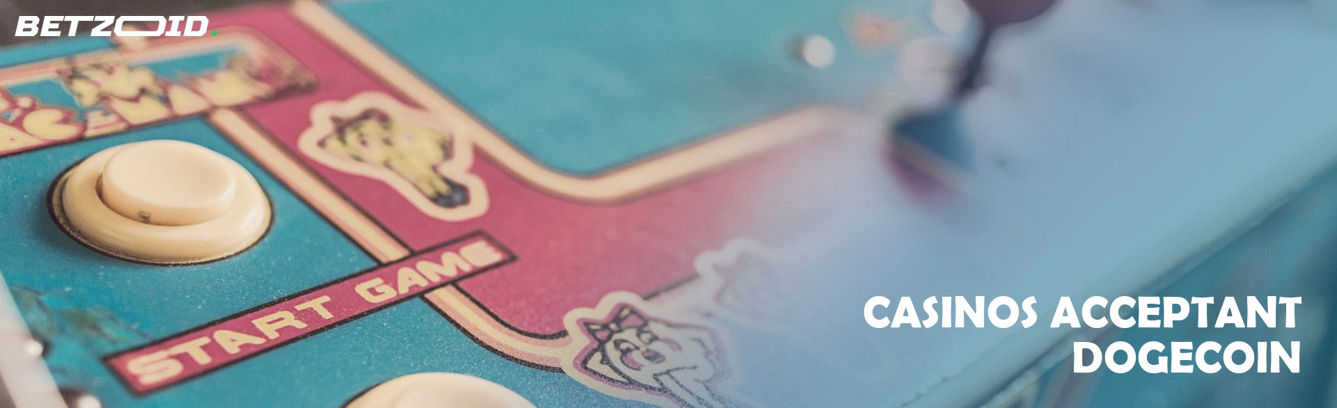 Casinos acceptant dogecoin.