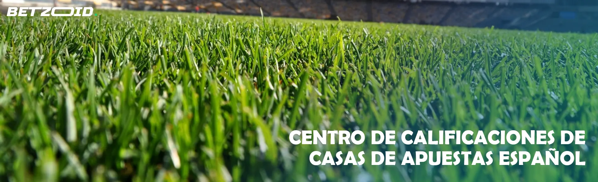 Centro de Clasificación de Casas de Apuestas Español.