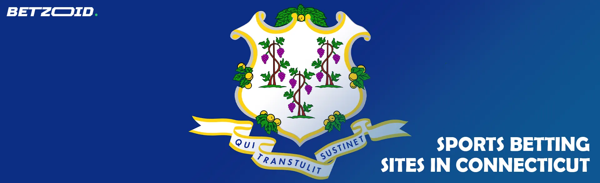 Connecticut state flag.