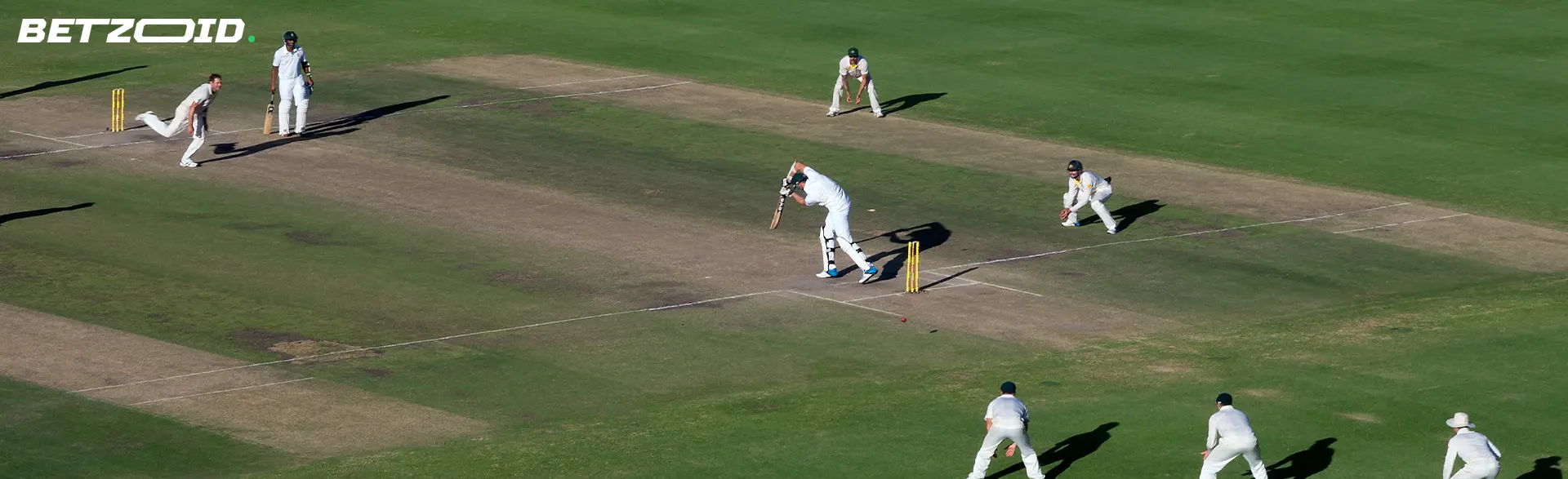 Cricketers on the field during a game.