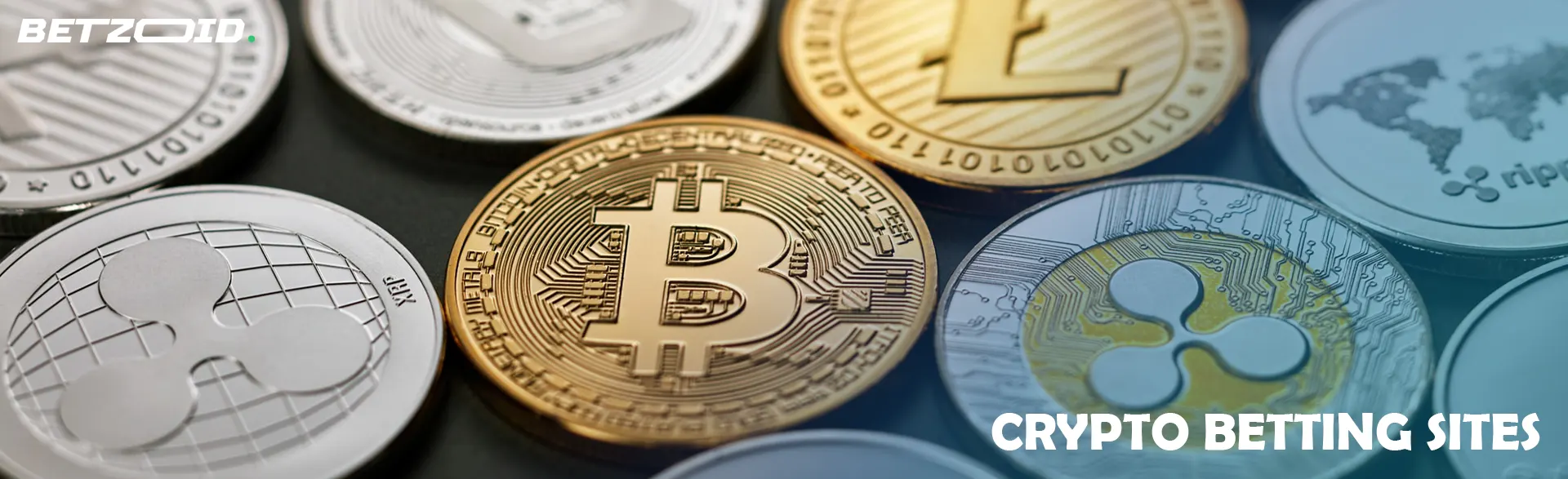 Coins of different cryptocurrencies.