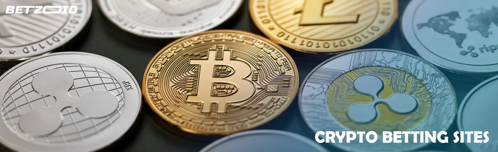 Coins of various cryptocurrencies.