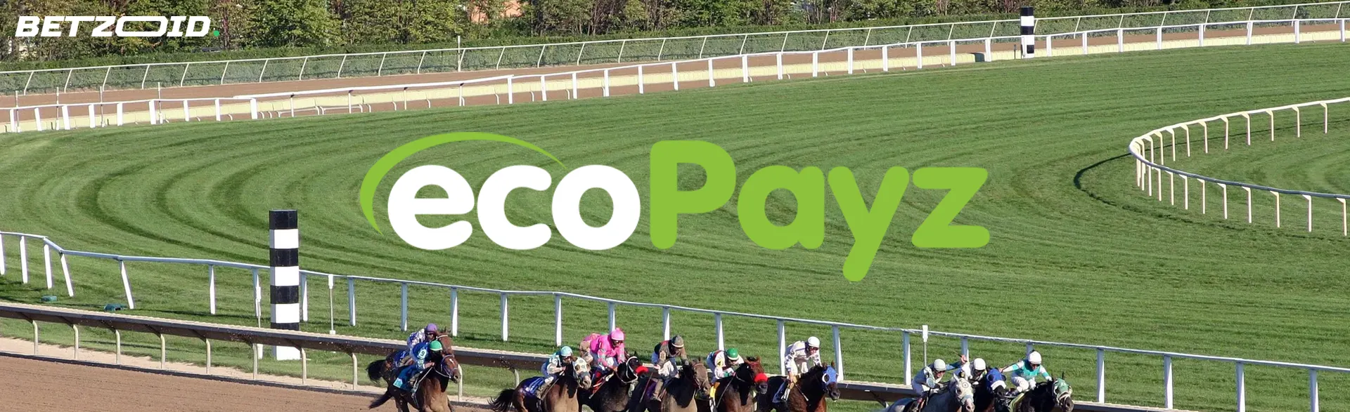 EcoPayz logo on the background of horse racing.