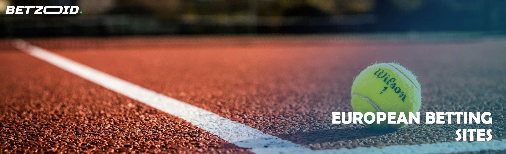 A tennis ball lies on the court.