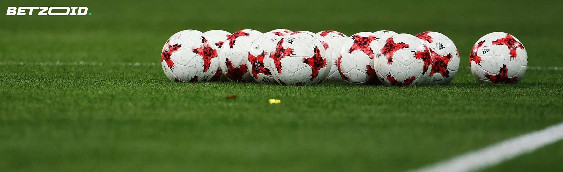 Los balones de fútbol yacen en el césped.