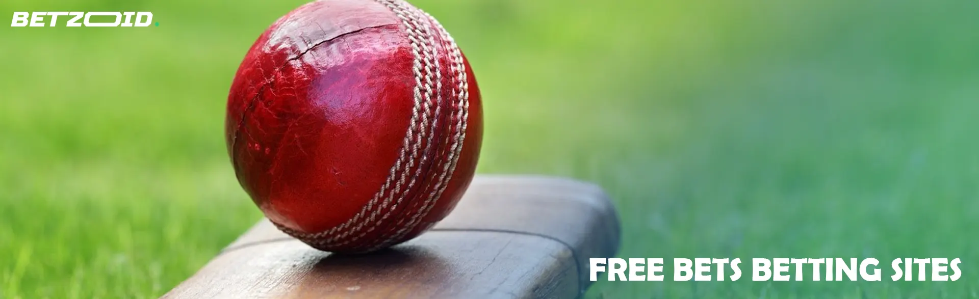 Red cricket ball on the bat.