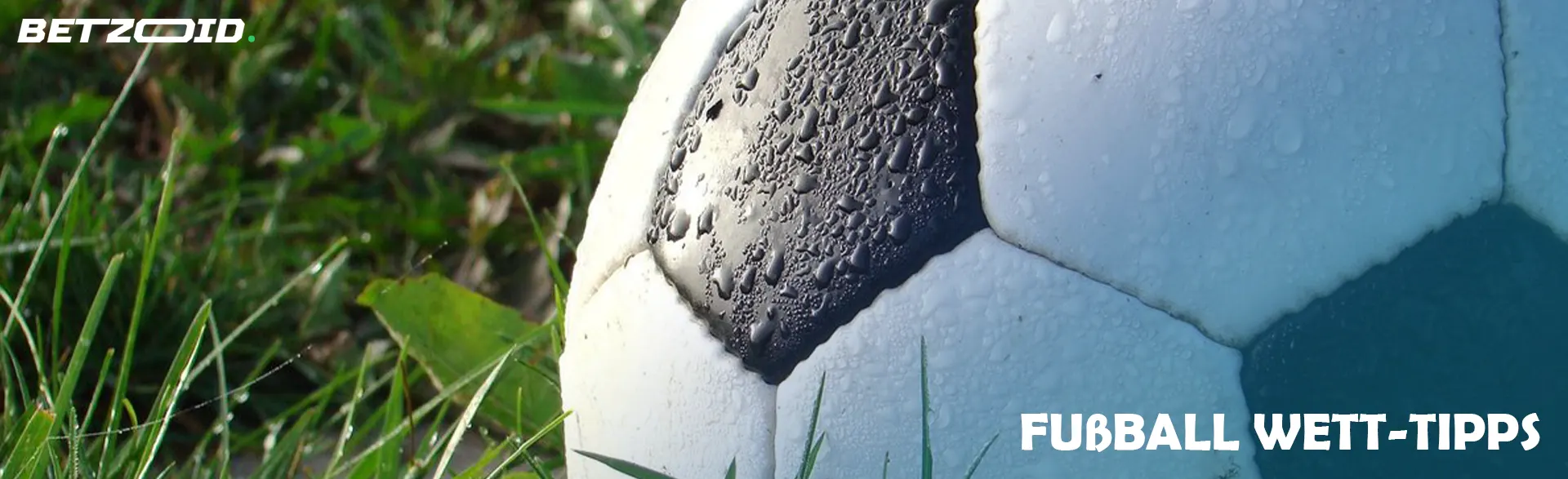 Ein Fußball liegt auf dem Rasen.
